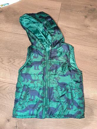 Vesta dinosaur baby rebel, 98