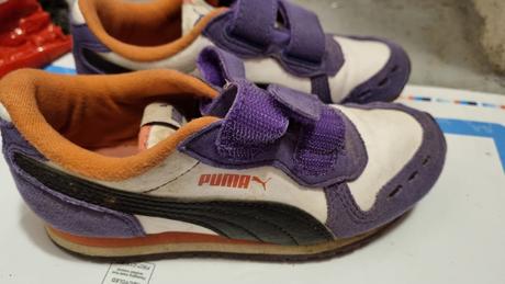 Puma, puma,29