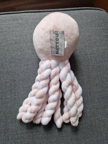 Mojkáčik chobotnička natou,