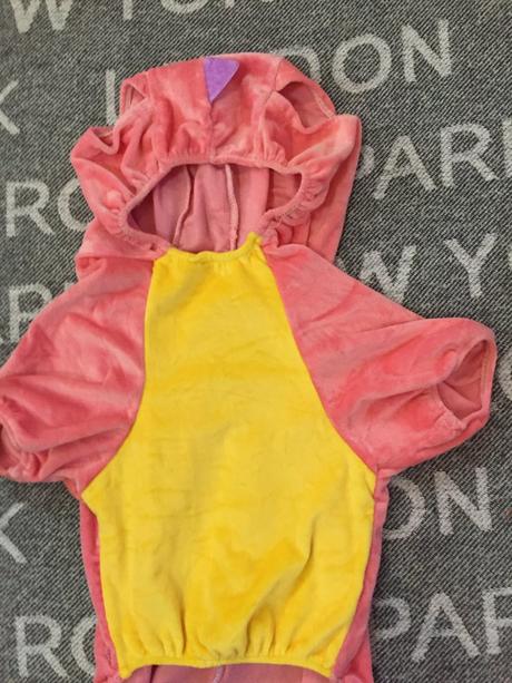 Kostym pre vacsieho psa dinosaurus, 