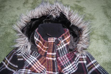 Vetrovka, fishbone,s