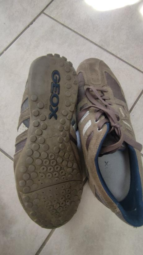 Topánky geox, geox,42
