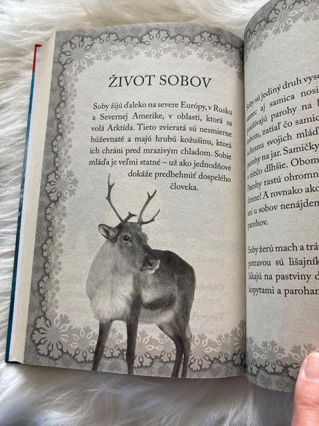 Lotka a vianoce so sobom holly webb,