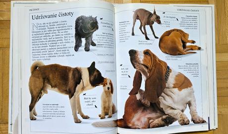 Kniha 'spoznaj svojho psa', bruce fogle, 