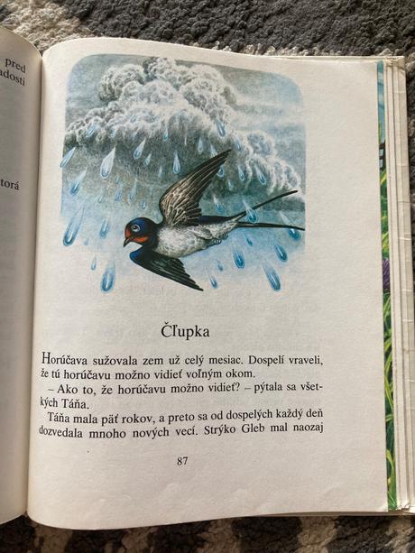 Strapatý vrabec  (1988), 