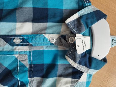 Kosela, palomino,110