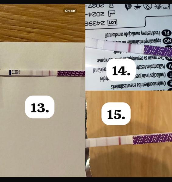 Ovulacia pri nepravidelnom cykle