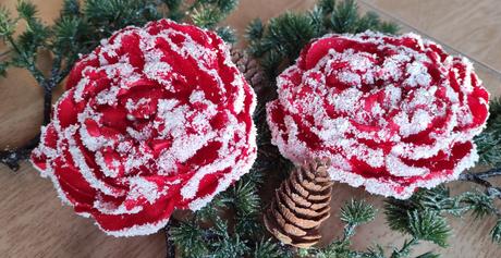 Zimná pivonka s kúzlom snehu a mrazu, 