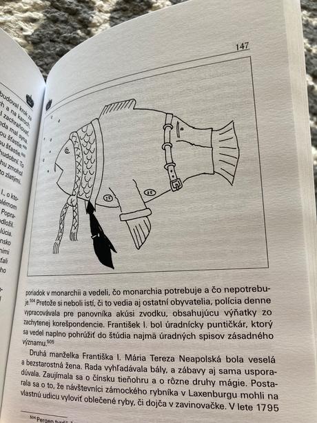 Dejiny slovenska a slovákov od veľkého tresku po..,