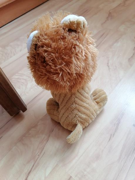 Levik s lesklými očami a motýlikom, 