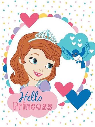 Micropolar fleece deka princezná sofia prvá 75/100,