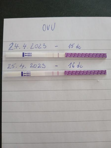 Blíži sa mi ovulácia?