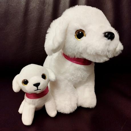 Nádherné hebunké psíky - top stav,