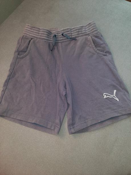 Šortky_ chn4, puma,140
