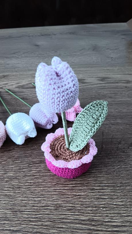 Háčkovaný tulipánik, 