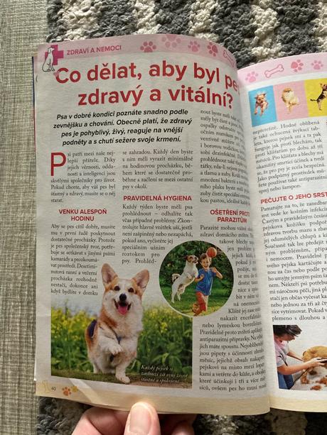 425 skvělých tipů, jak si vybrat nejlepšího pejska, 