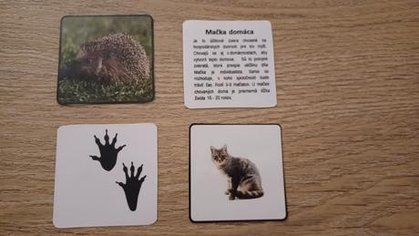 Kartove montessori aktivity, 