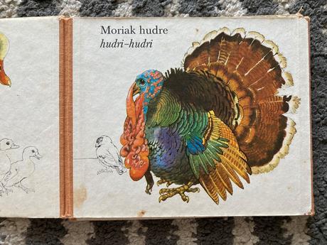 Medzi vtákmi leporelo (1987), 