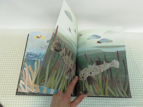 Isabel otter together hb nau21,