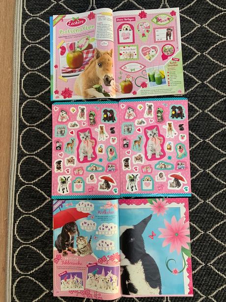 Sada figúrok zvierat, časopisov a zošitov, 