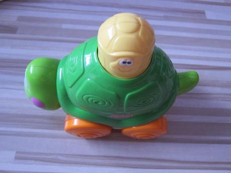 Chodiaca korytnačka zs., 