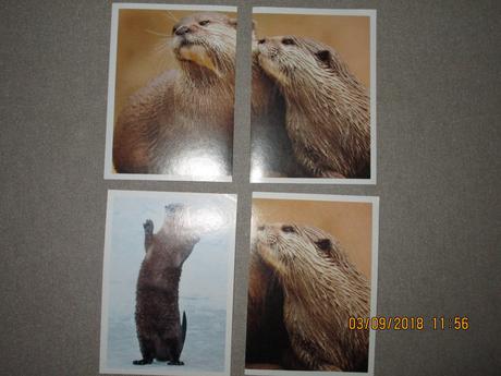 Nálepky jednota - zvieratká slovenska, 