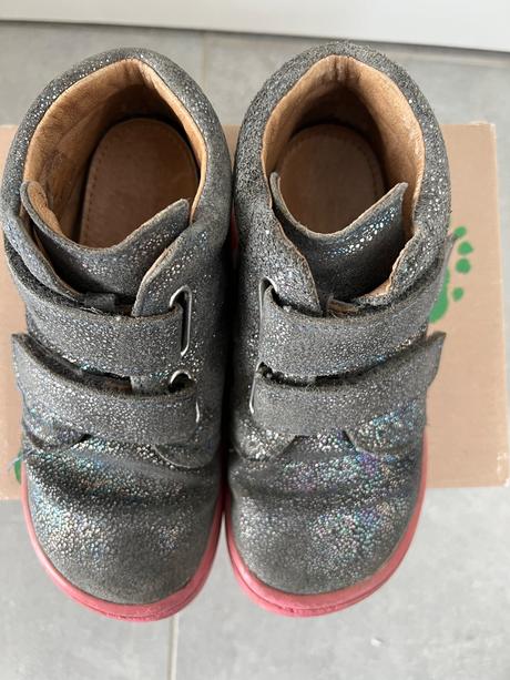 Filii chameliion, filii,26