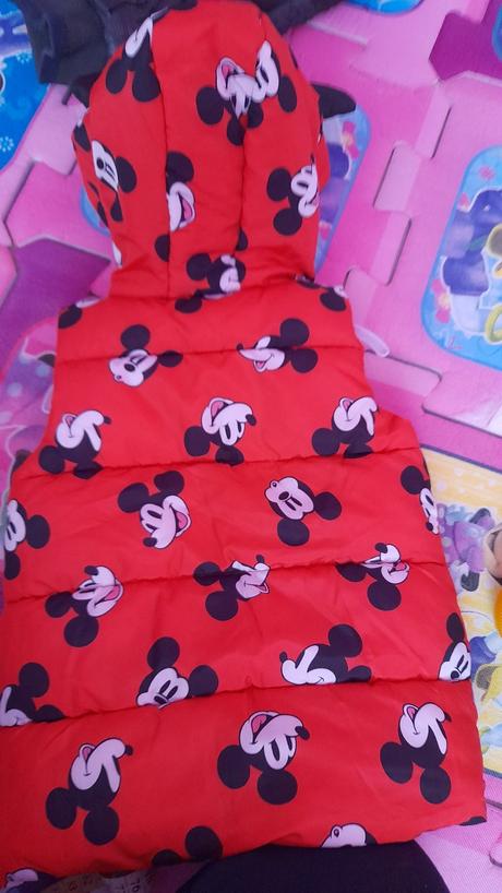 Vesta-nová, disney,80