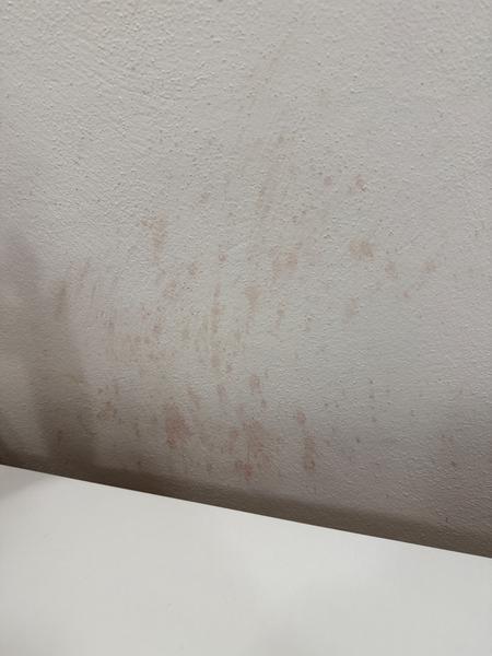 Ako efektívne odstrániť vosk zo steny?