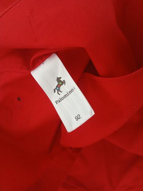 Kosela 92, palomino,92