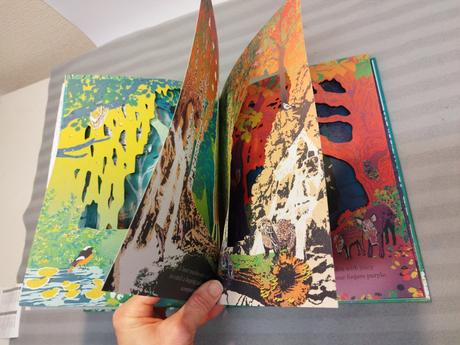 Rachel burlington - into the forest hb nau23, 