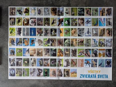 Spoločenská hra albi, 