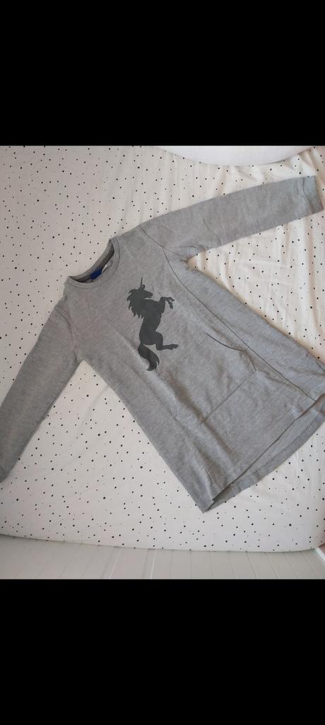 Mikinove šaty, lupilu,110