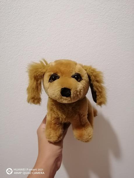 Plyšák psík, 