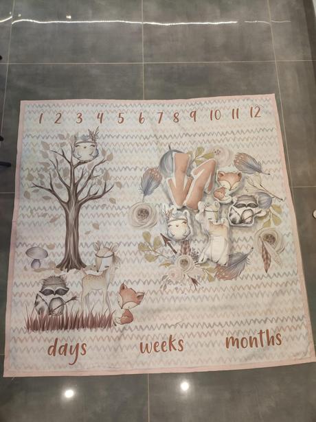 Podložka míľniková, 