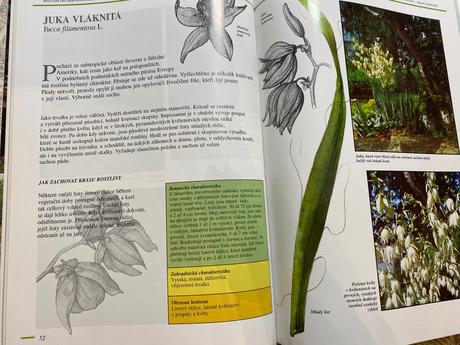 Terézia krippelová pozvanie do okrasnej záhrady, 