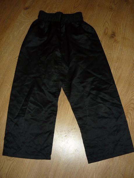 Karnevalový kostým , 