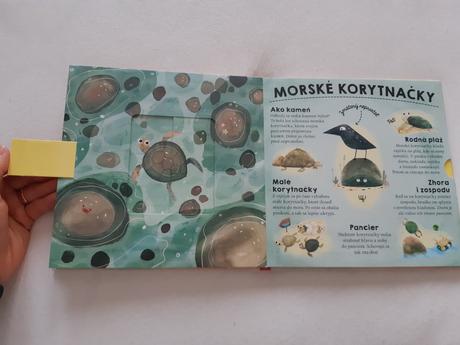 Kde sa schovavaju zvieratka, 