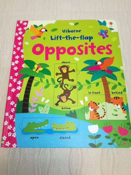 Usborne lift the flap word book,