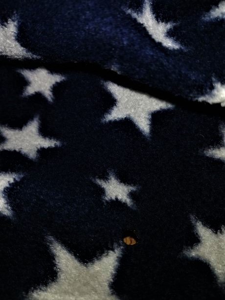 Teplé flisové pyž.nohavice, pepco,l