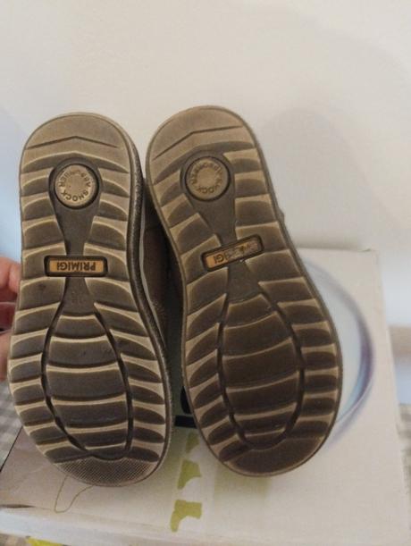 Snehule primigi, primigi,28