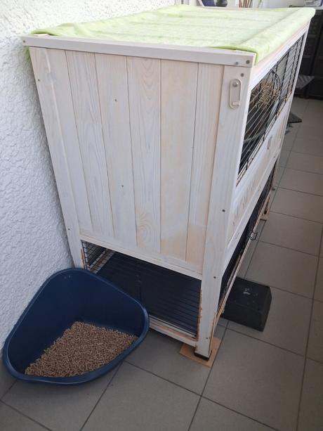 2 králiky s veľkou klietkou,