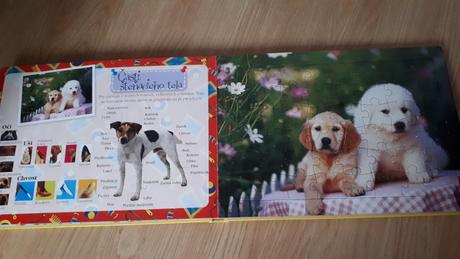 Kniha svet steniatok puzzle, 