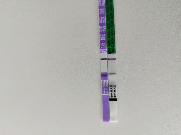 Má In-time menej farbiva ako Mamatesty?