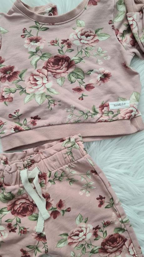 Newbie suprava, newbie,62