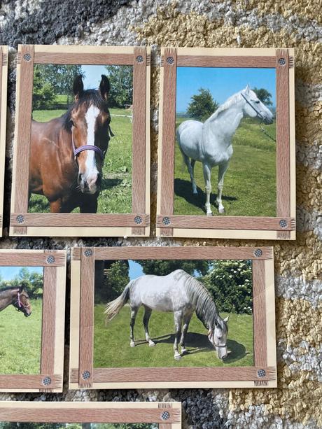 Pohľadnice koní nepopísané 6ks,