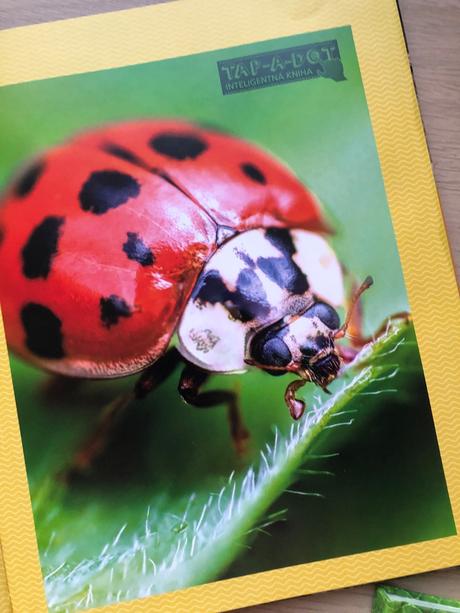 Detské knihy o prírode,