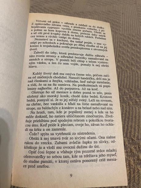 Krásna kniha anglický pacient michael ondaatje,