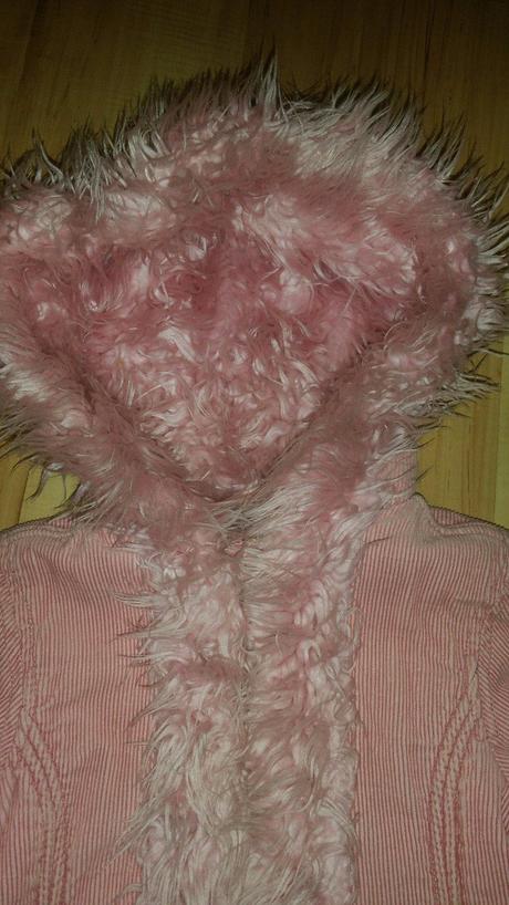 Mencestrovy kabatik, ladybird,104