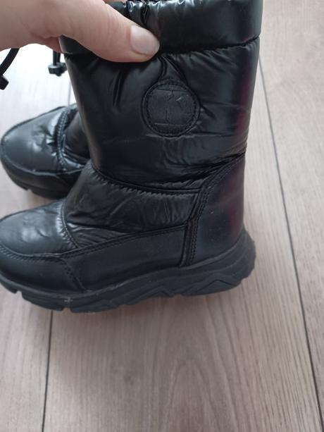 Kornecki veľ.26, kornecki,26